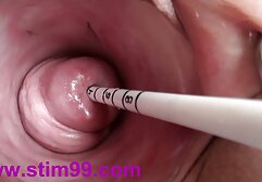 blonde ebony couple sex and brown-haired for the penis